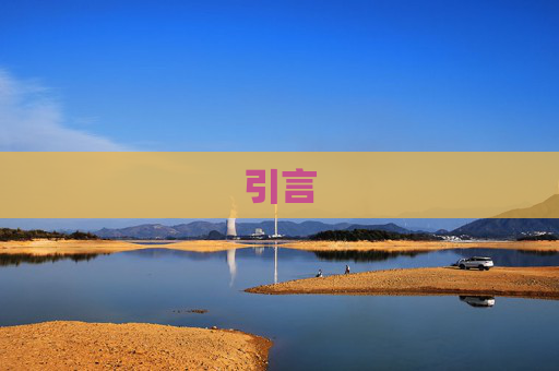 引言
