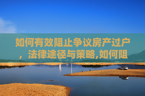 如何有效阻止争议房产过户，法律途径与策略,如何阻止争议房产过户