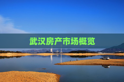 武汉房产市场概览