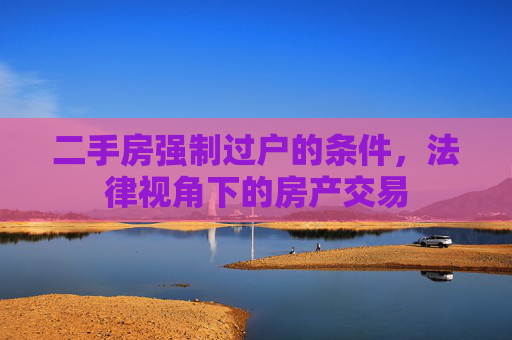 二手房强制过户的条件，法律视角下的房产交易