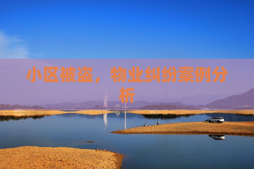 小区被盗，物业纠纷案例分析
