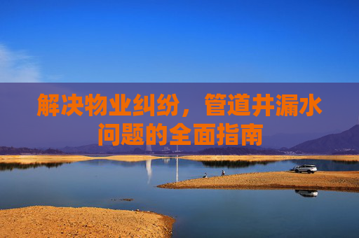 解决物业纠纷，管道井漏水问题的全面指南