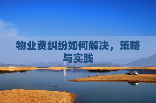 物业费纠纷如何解决，策略与实践