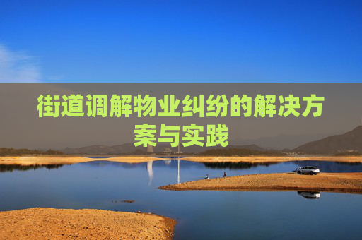 街道调解物业纠纷的解决方案与实践