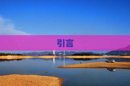 引言
