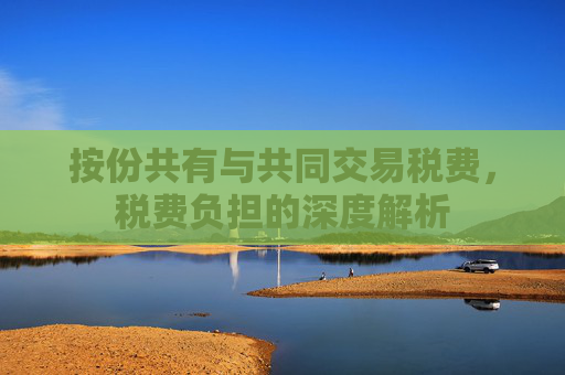 按份共有与共同交易税费，税费负担的深度解析