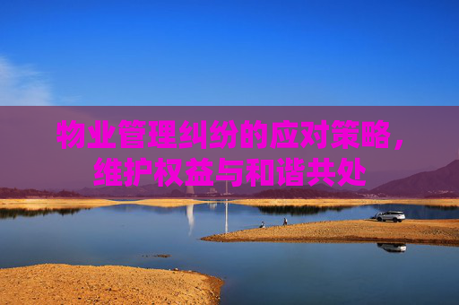 物业管理纠纷的应对策略，维护权益与和谐共处