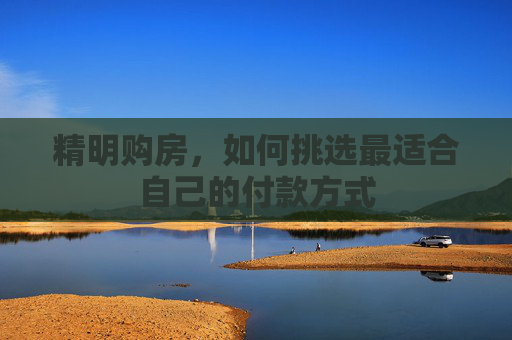 精明购房，如何挑选最适合自己的付款方式