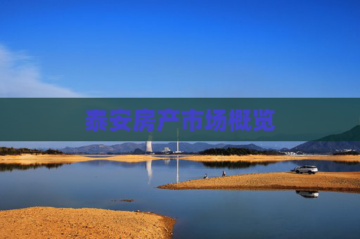 泰安房产市场概览