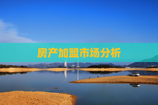 房产加盟市场分析