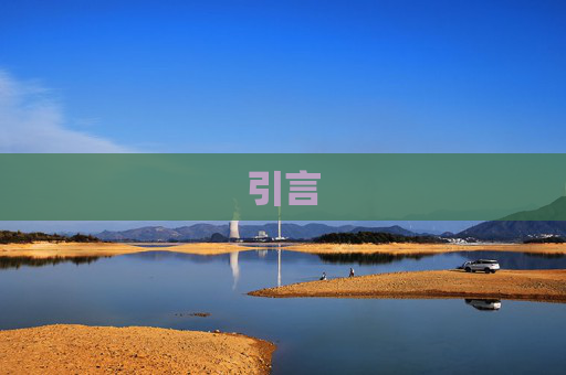 引言
