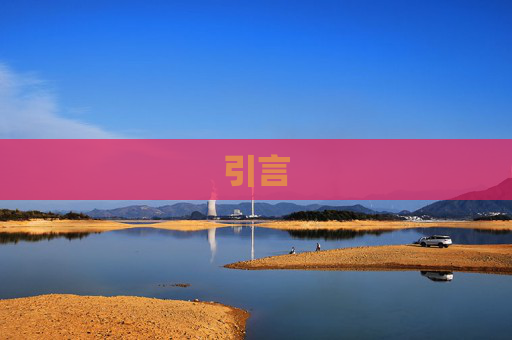 引言
