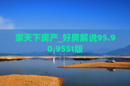 家天下房产_好房解说95.90.95St版