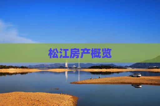 松江房产概览