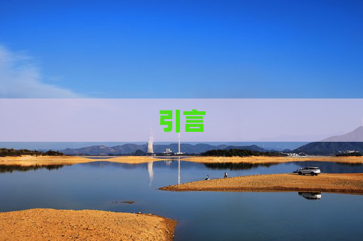 引言