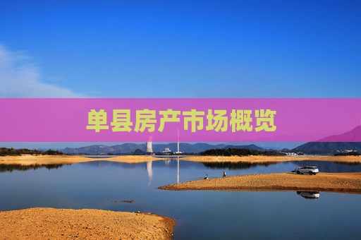 单县房产市场概览