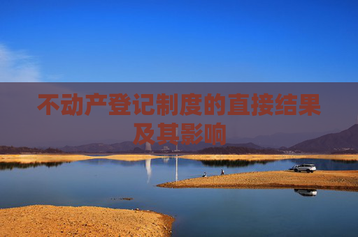不动产登记制度的直接结果及其影响