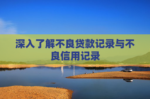 深入了解不良贷款记录与不良信用记录